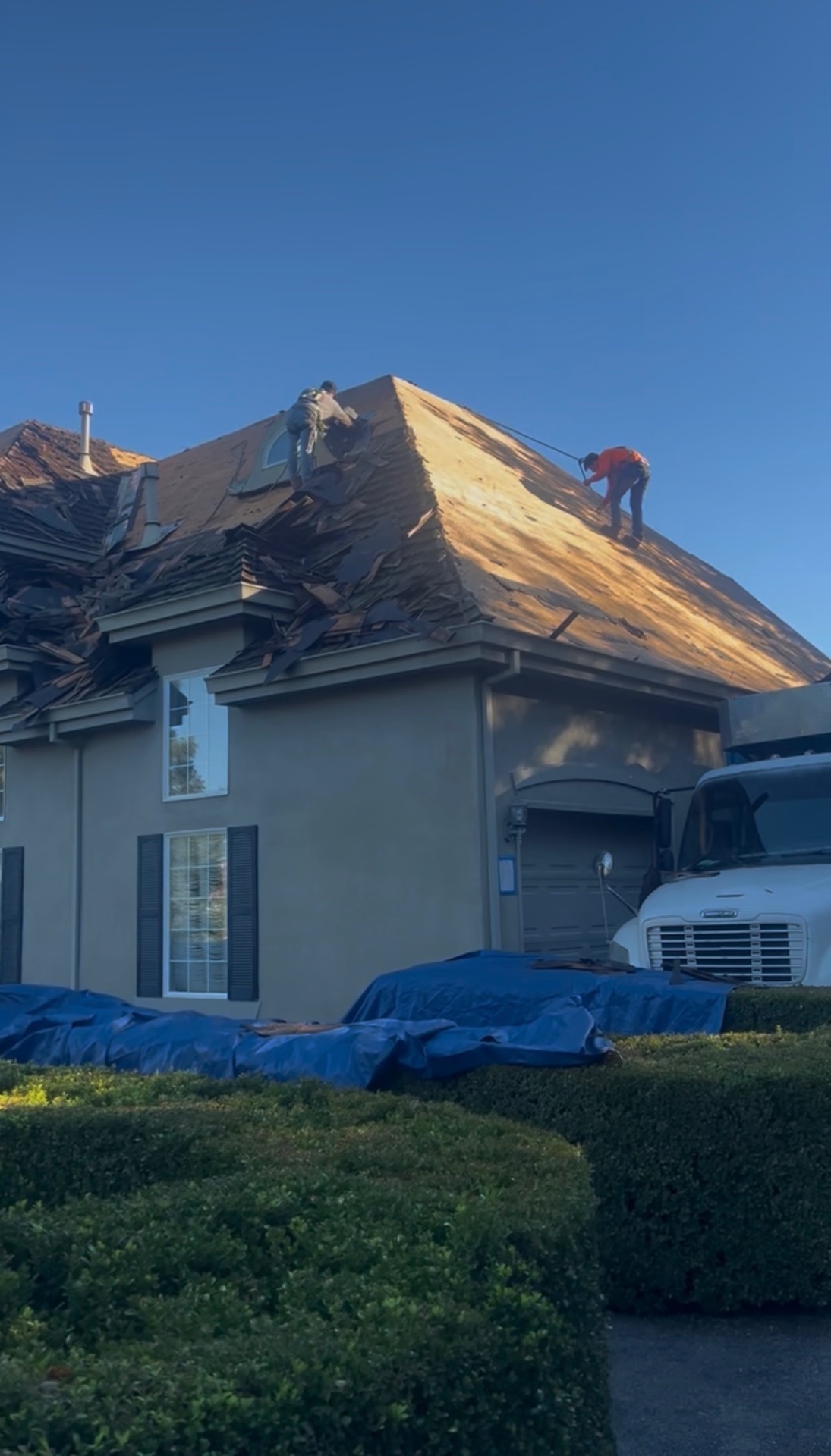 Roofers stripping cedar shake down to bare decking on an LA luxury home
