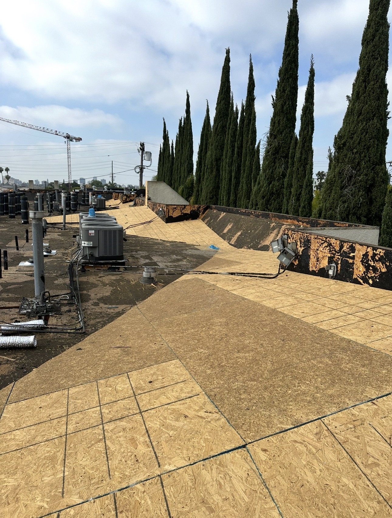 New OSB decking installed the full length of a flat roof with the LA skyline behind