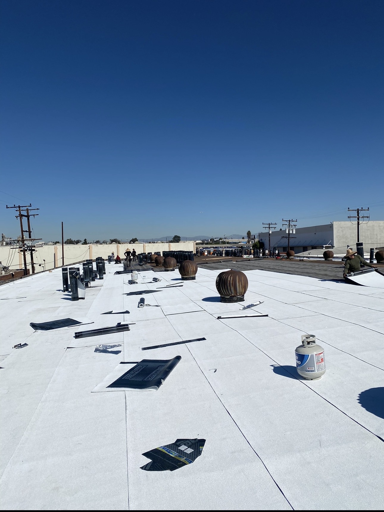Fresh TPO membrane installed across a Los Angeles commercial roof with turbine vents